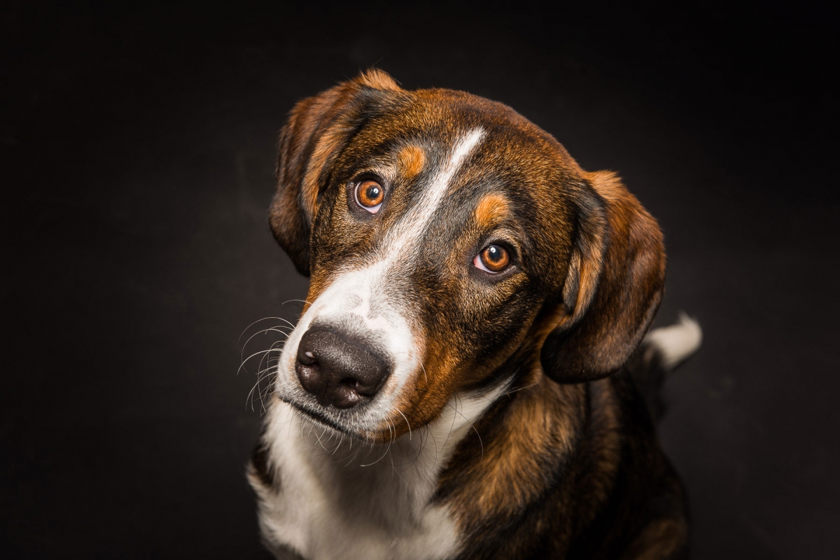 Fotograf Recklinghausen